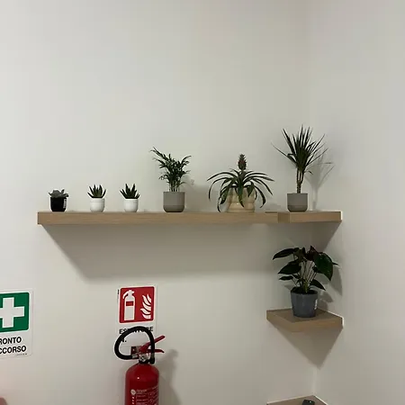 Vatican Garden Apartment